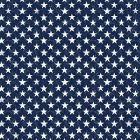 ttGAIL-CD2226 NAVY